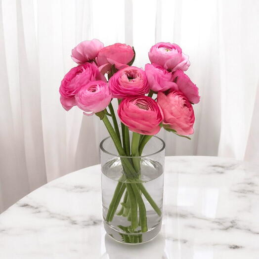 Ramo 10 de Ranunculos " Rosado"