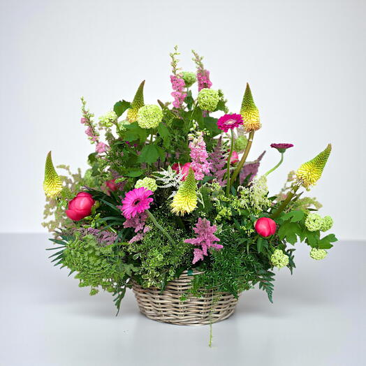 Cesta Citrus rosa