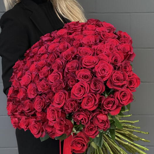 Terciopelo rojo