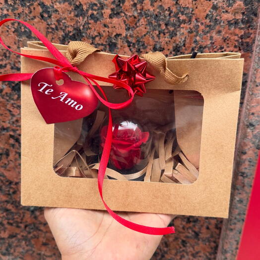 Mini Rosa Roja Preservada