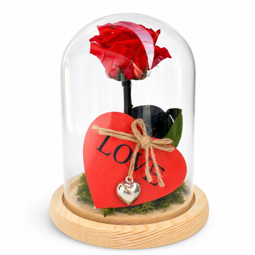 Rosa Eterna en Cupula de Cristal | Regalo Romantico en Alicante | Udora