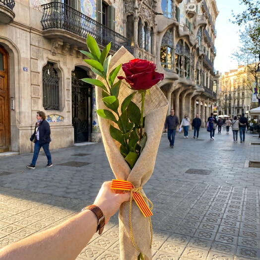 Rosa Sant Jordi