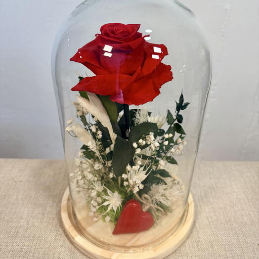 Cúpula única de rosa eterna con flores secas y preservadas - amor, romance, gracias, aniversario