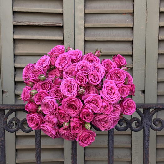 Pink Passion with 7 branched roses