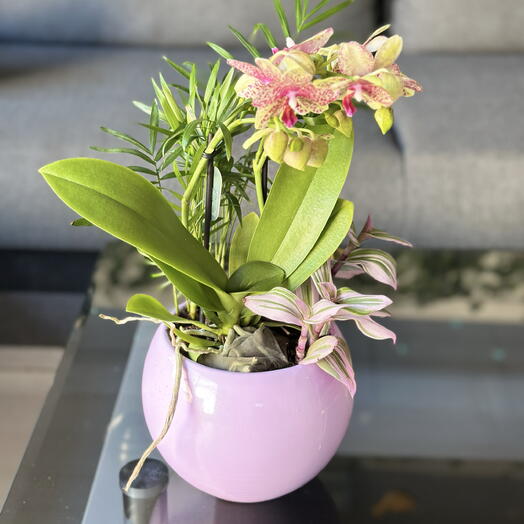 El centro con mini orquidea
