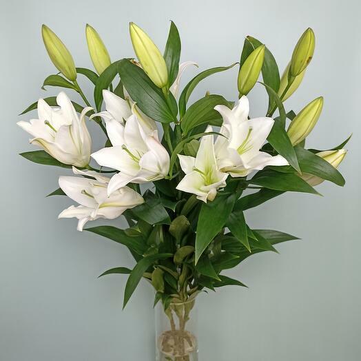 Ramo de lirios