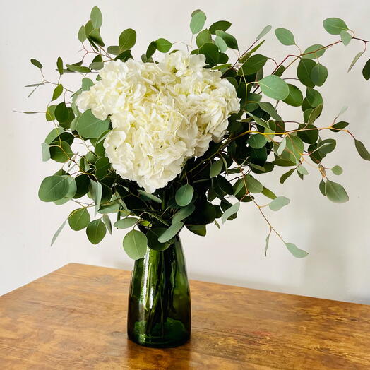 Ramo de hortensias blancas