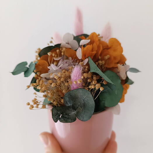 Macetita de flores preservadas rosa