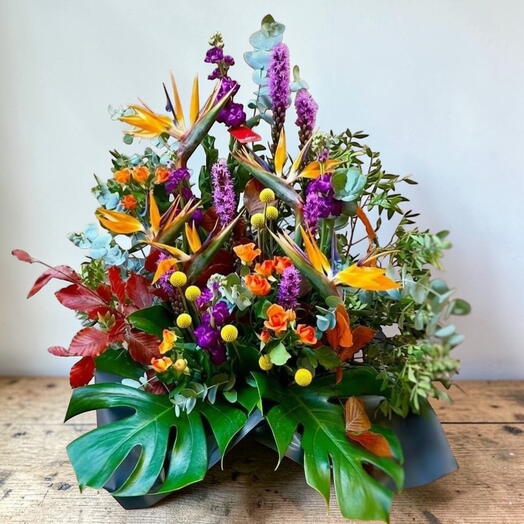 Centro de Flores Sterlizia