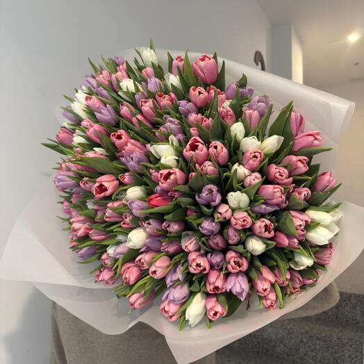 201 Tulips of Tender Love