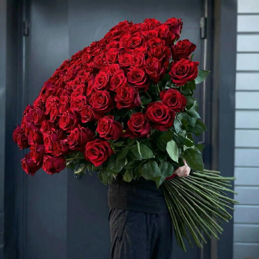 100 rosas tallo largo (70cm)