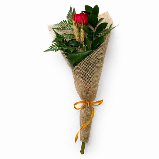 Rosa Sant Jordi premium con espiga