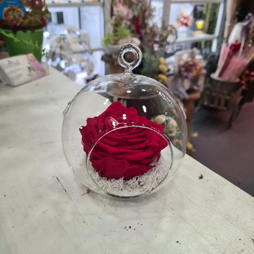 Rosa Roja Eterna en Globo de Cristal