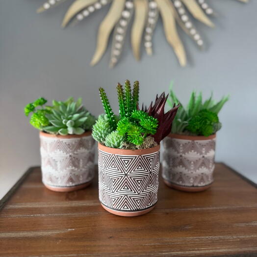 Tres amigos - set de suculentas artificiales - hogar, oficina, regalo, decoración moderna, poca luz