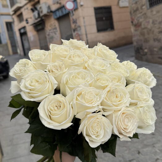 «Amor blanca como nieve»