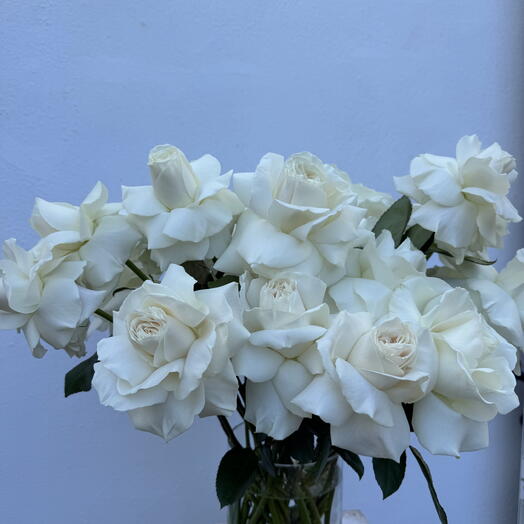 Французские белые розы