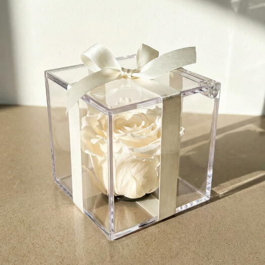 Коробка из метакрилата с белой стабилизированной розой