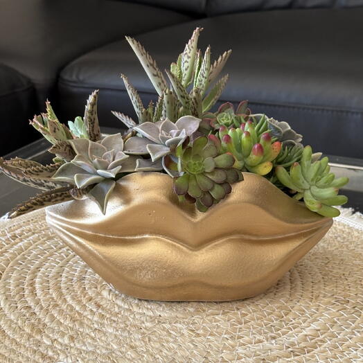 Labios con suculentas oro