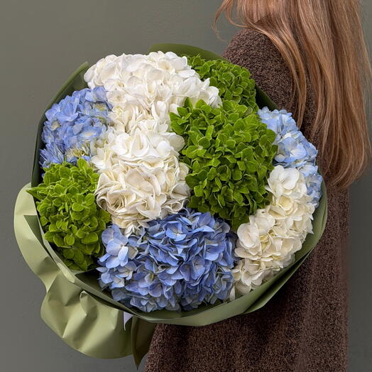 Hydrangea Mix