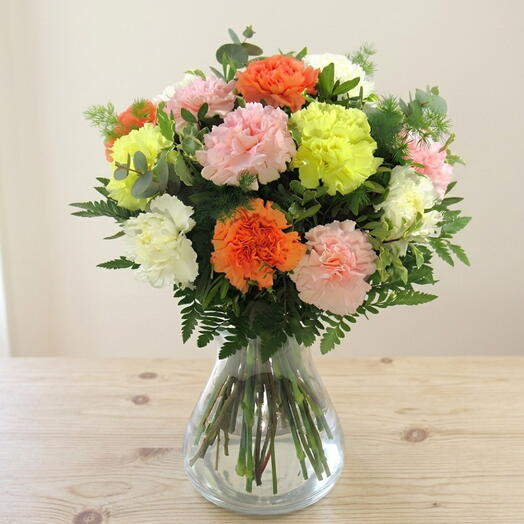 Primavera en Colores