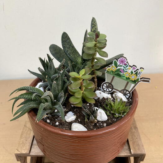 Керамічна підставка з сукулентами