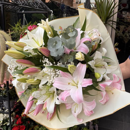 Lilium gigante