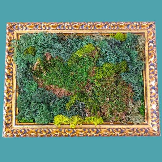 Cuadro de musgo marco dorado