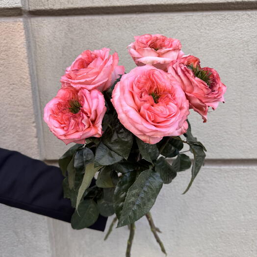Bouquet of 5 Mandarin Coral Roses