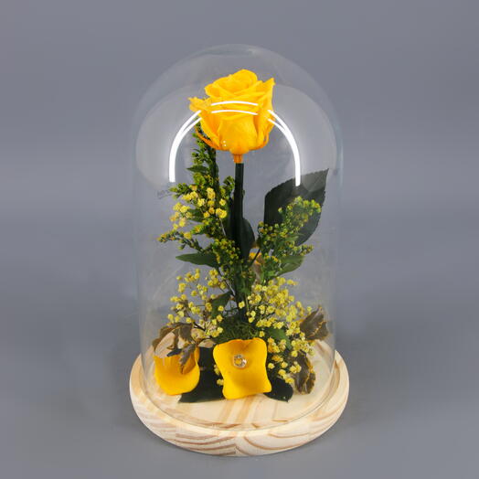 Cupula Rosa Preservada Amarilla