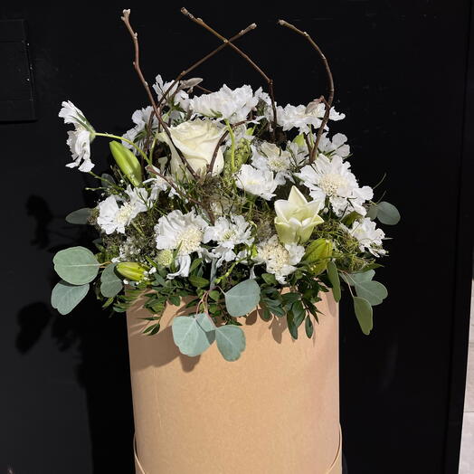 Caja de escabiosas blancas