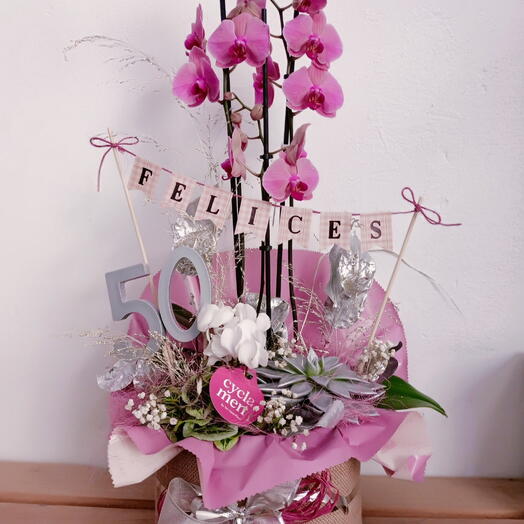 BoxPlant Special Birthday Pink Phalaenopsis Orchid