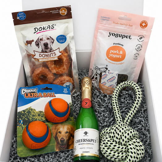 Panier-cadeau pour chien