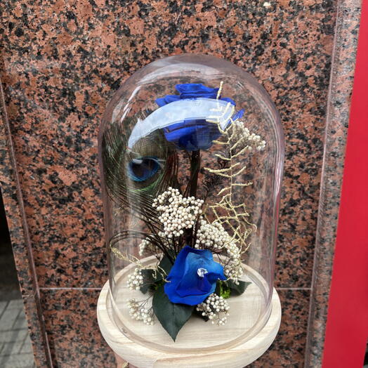 Cupula Rosa Azul Preservada