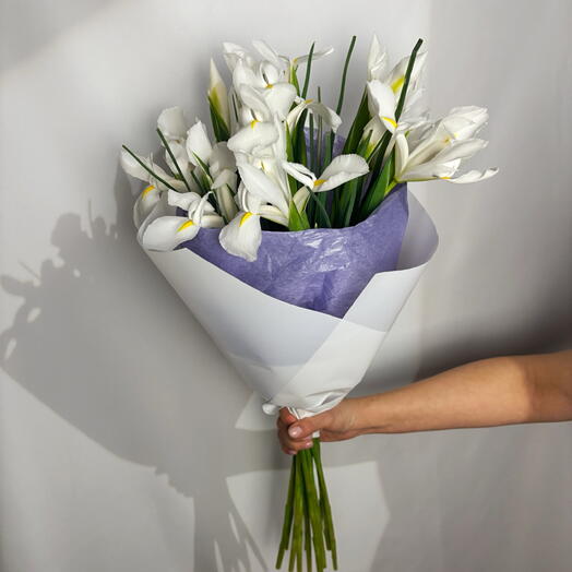 Ramo 10 Iris Blancos Elegantes – Bouquet Fresco y Natural