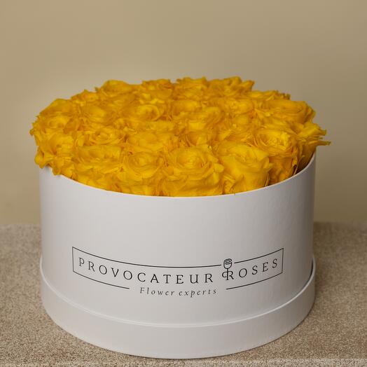 Caja 30cm rosas preservadas  amarillo