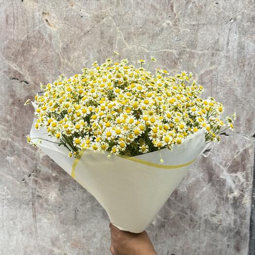 Ramo de margaritas silvestre