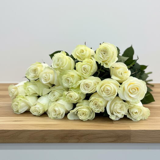 Ramo de 25 Rosas Blancas — Pureza y Elegancia