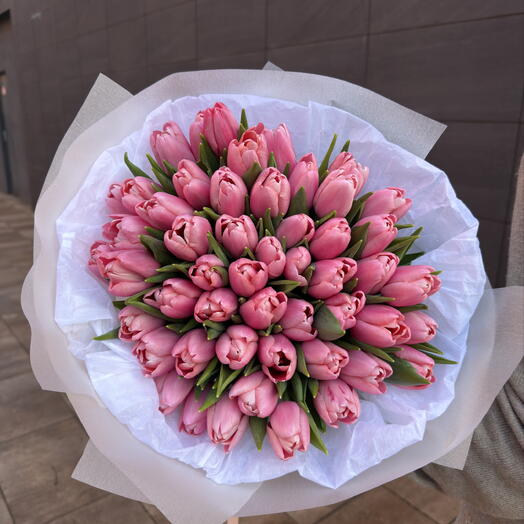 51 Pink Tulips