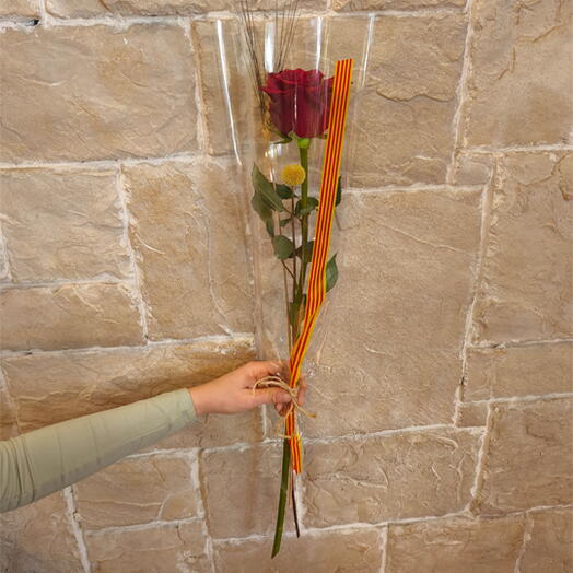 Rosa Celofan Senyera