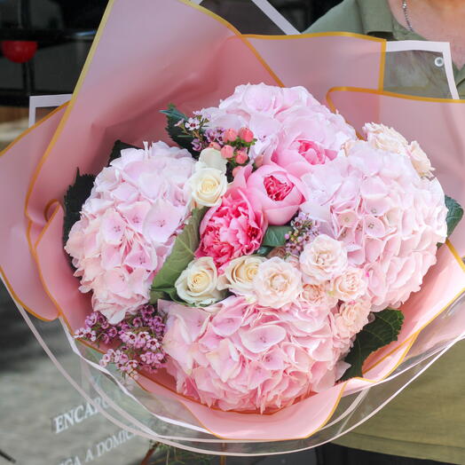 Blush Harmony