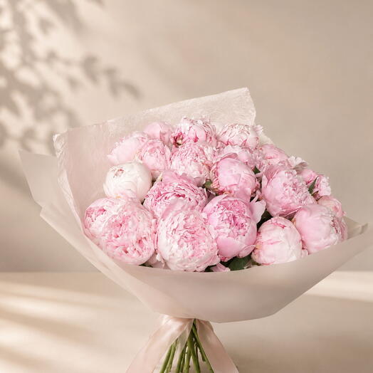 23 pink peonies