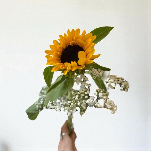 Girasol Joven