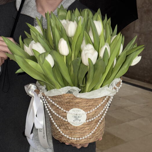 Blancanieves (51 tulipanes)