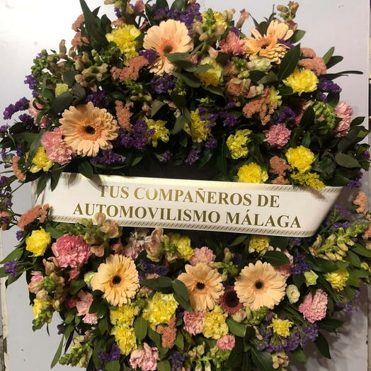 Colorful Tribute