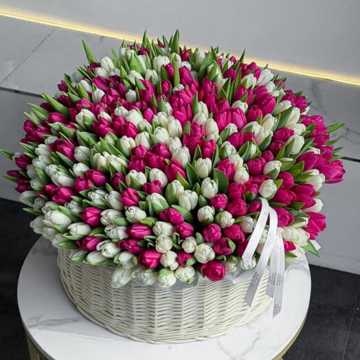 Cesta primavera 300 tulipanes