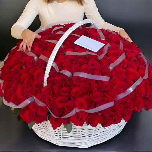 Cesta de 300 Rosas Rojas – Amor Infinito