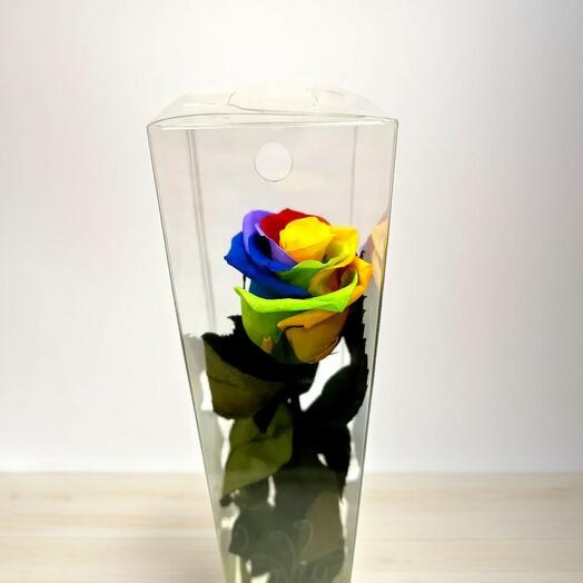 Rosa Eterna Multicolor Larga – Arcoiris de Emociones Eternas