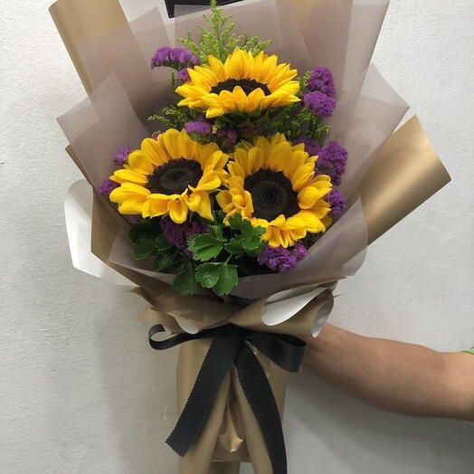 Rayo de Sol y Esperanza