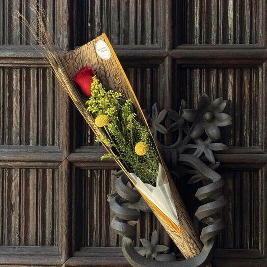 El Premium - Sant Jordi