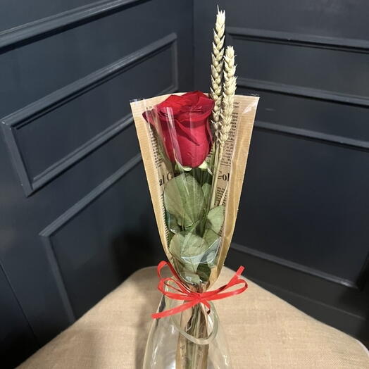 Rosa de San Jordi
